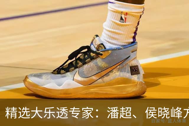 精选大乐透专家：潘超、侯晓峰方案同中748万